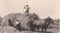 Shattuck Dairy - Hay wagon men