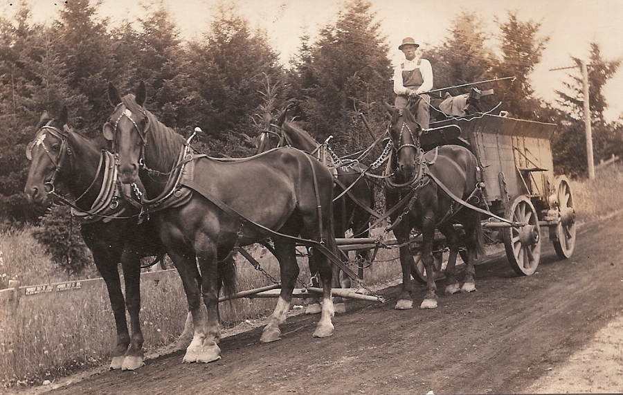Shattuck Dairy - narrow freight wagon, 4 horses
