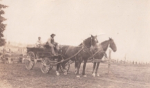 Shattuck Dairy - two men in wagon