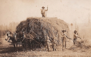 Shattuck hay wagon, 2 little girls, 3 men