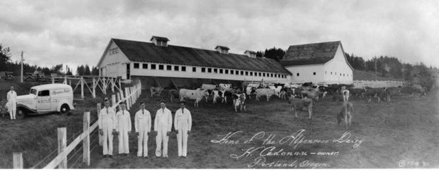 Alpenrose Dairy historic panorama