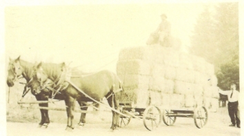 Wagon with stacked square hay bales