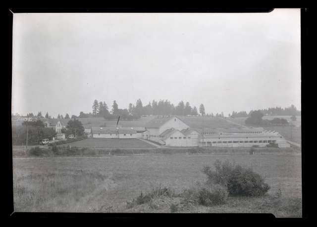 Fulton Park Dairy in Hillsdale near location of Ida B Wells high school (Wilson high school) - circa 1923 to 1936