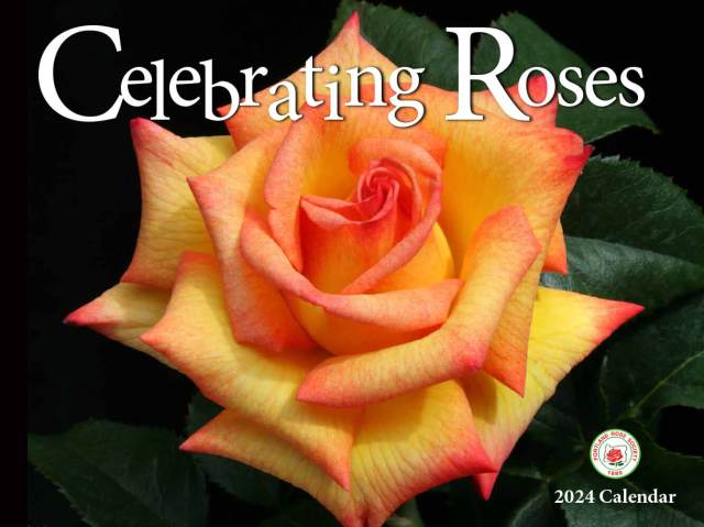 Celebrating Roses calendar 2024